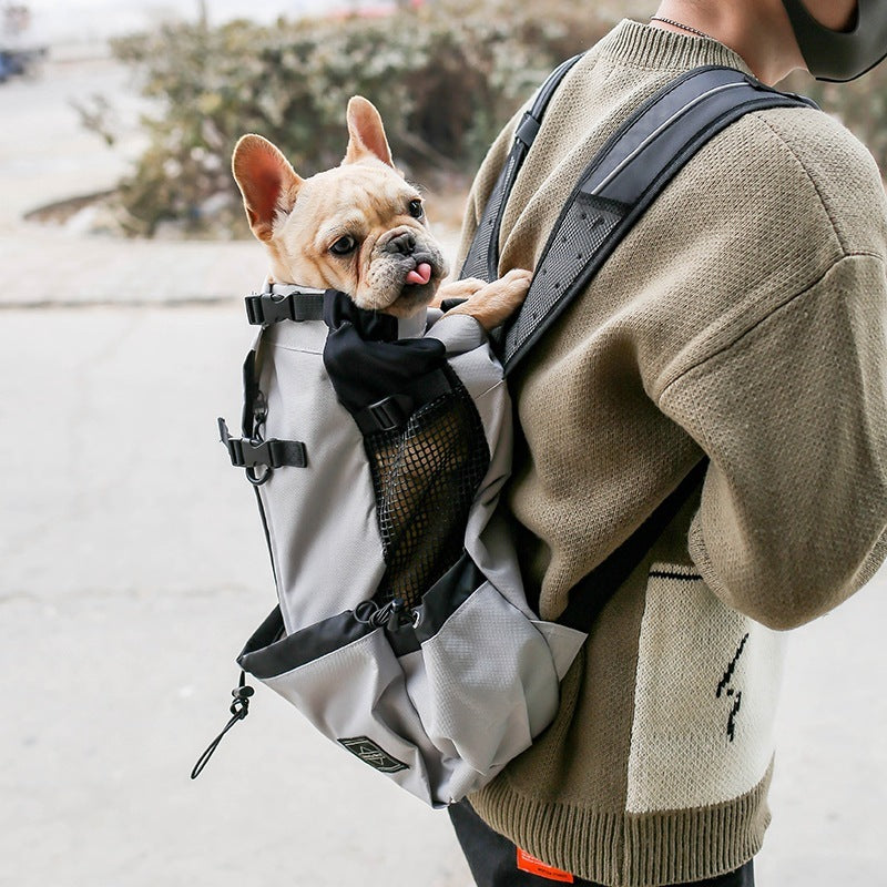 Dog Backpack Carrier for Hiking and Travel